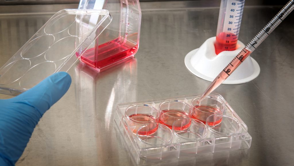 Próbki do wykonania testu w laboratorium