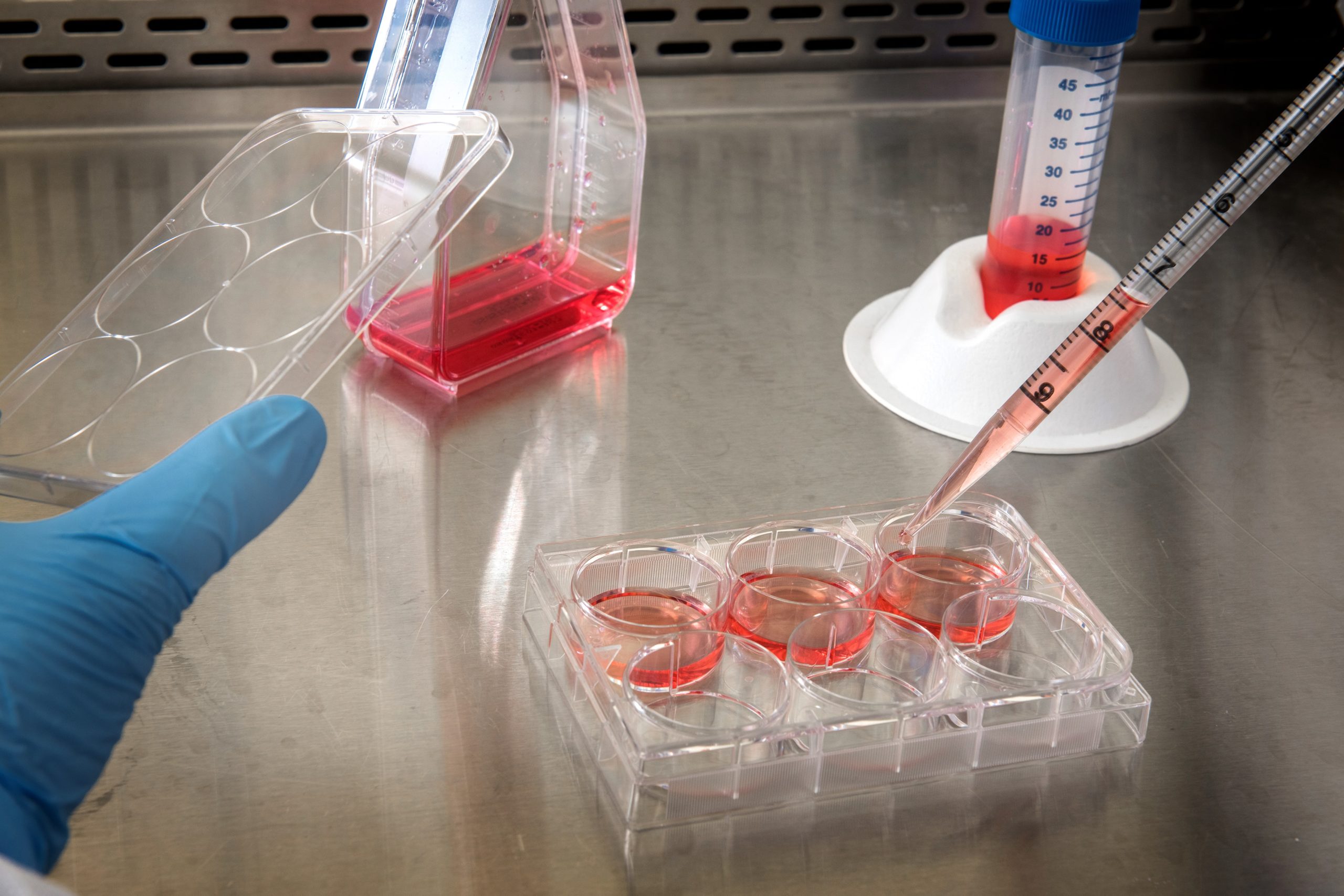 Próbki do wykonania testu w laboratorium