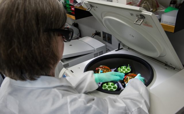 Kobieta naukowiec w białym fartuchu wkłada próbki do urządzenia