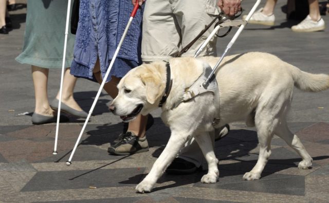 Niewidomy z psem przewodnikiem.