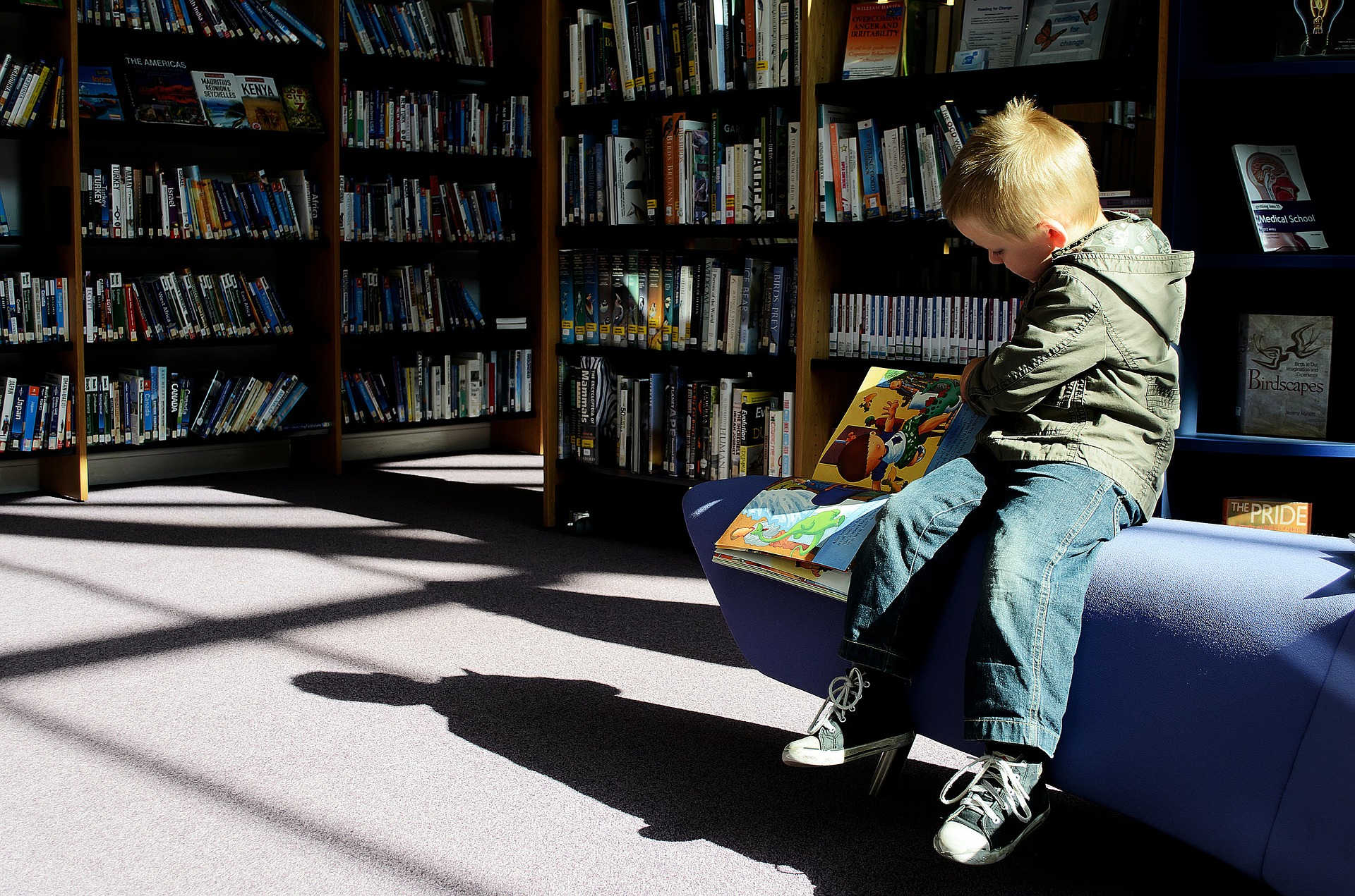 mały chłopiec siedzi na kanapie w świetlicy lub bibliotece i przegląda książkę z obrazkami, wokół niego jest dużo regałów z książkami