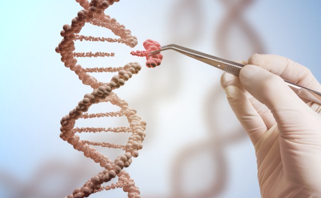 Połączenie genetyczne komórek, do łańcucha podaje się brakujący gen