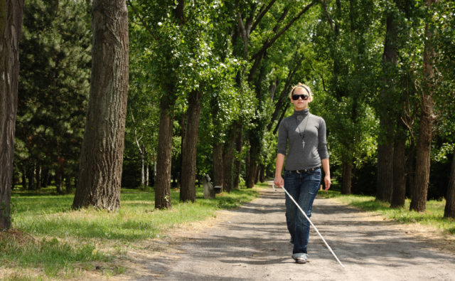 Kobieta niewidoma z białą laską idzie drogą szutrową pośród drzew