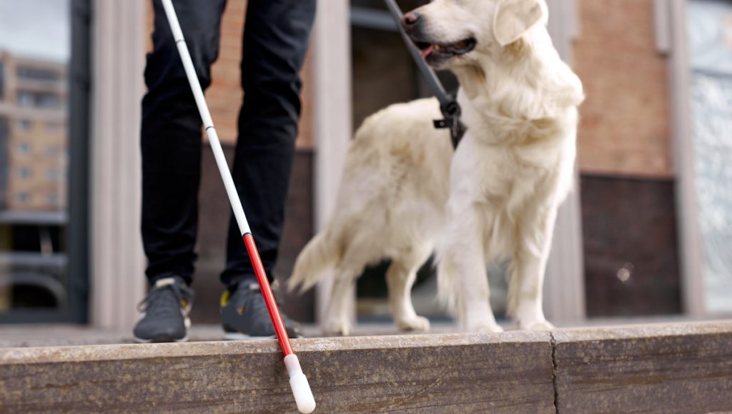 Osoba niewidoma z białą laską i psem przewodnikiem na stopniu schodów