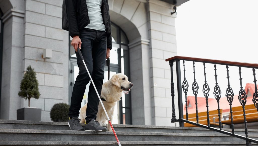 Po schodach prowadzących od wejścia z budynku schodzi niewidomy mężczyzna z psem przewodnikiem