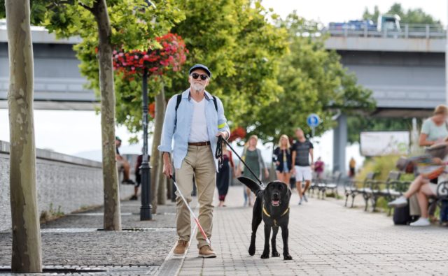 Niewidomy mężczyzna idzie chodnikiem z psem przewodnikiem
