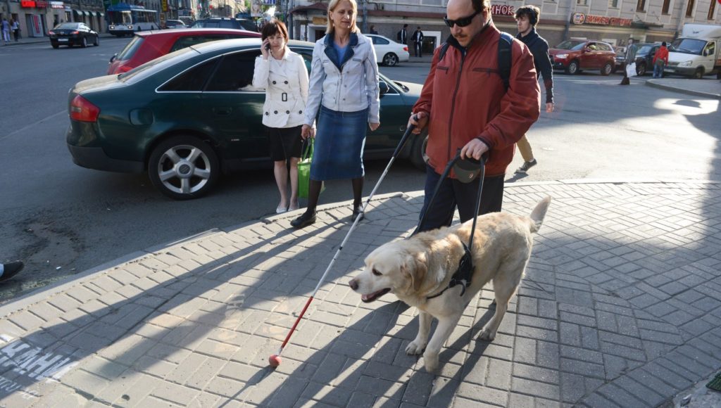 Niewidomy mężczyzna idzie po chodniku z psem przewodnikiem, obok przechodzą dwie kobiety