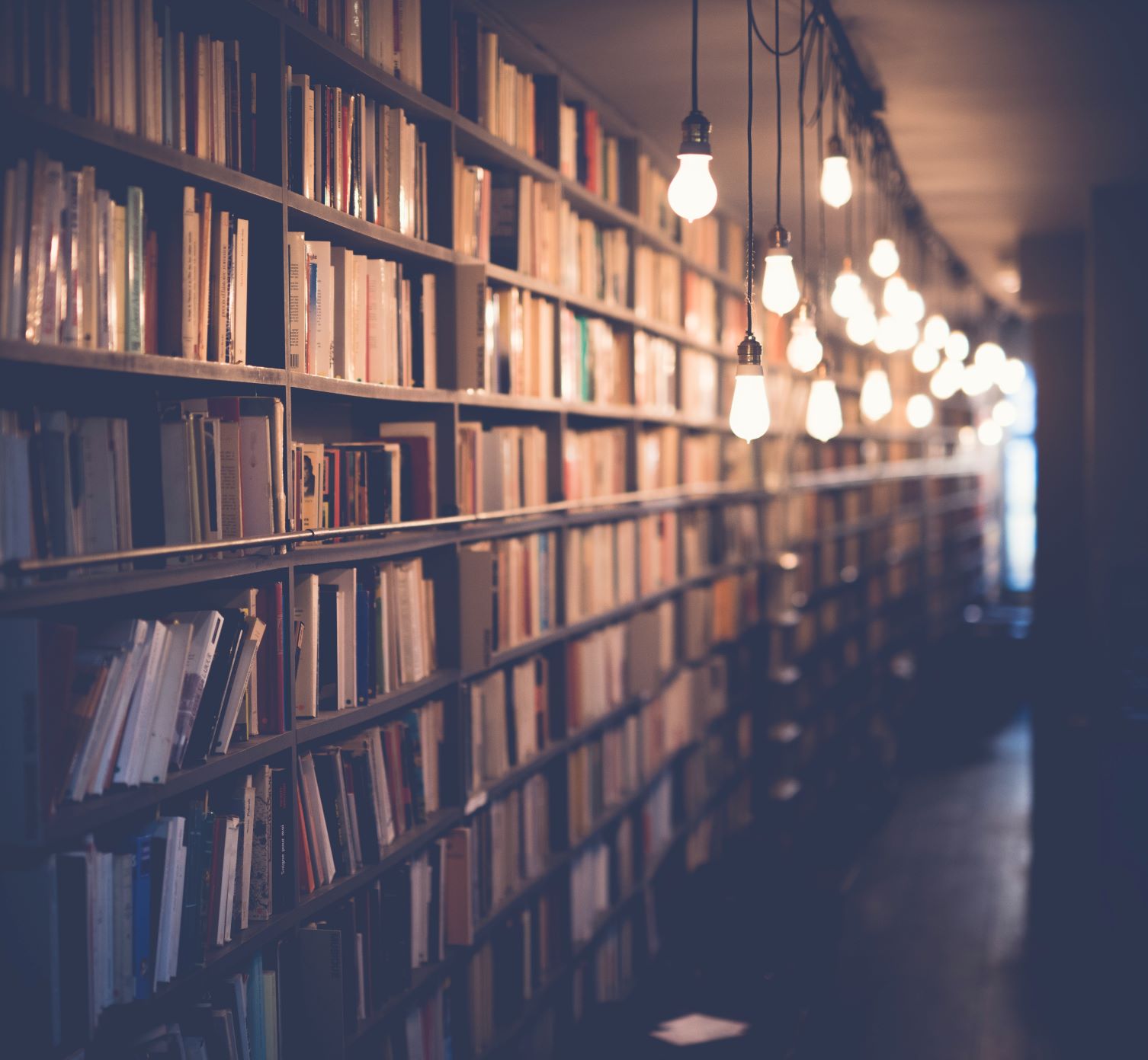 Wnętrze biblioteki, regały z książkami, lampy w oddali