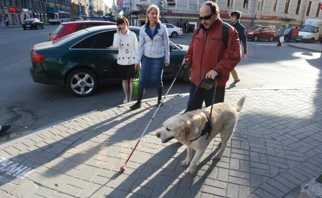 Niewidomy mężczyzna z psem przewodnikiem idzie po ulicy, obok idą dwie kobiety.