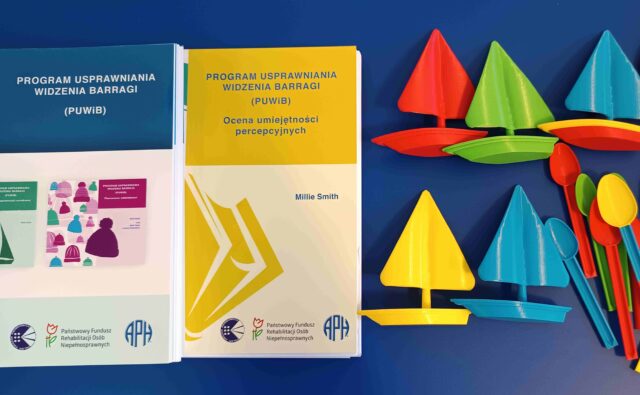 Publikacja "Program usprawniania widzenia Barragi".