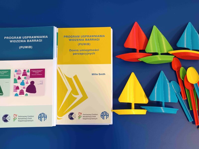 Publikacja "Program usprawniania widzenia Barragi".