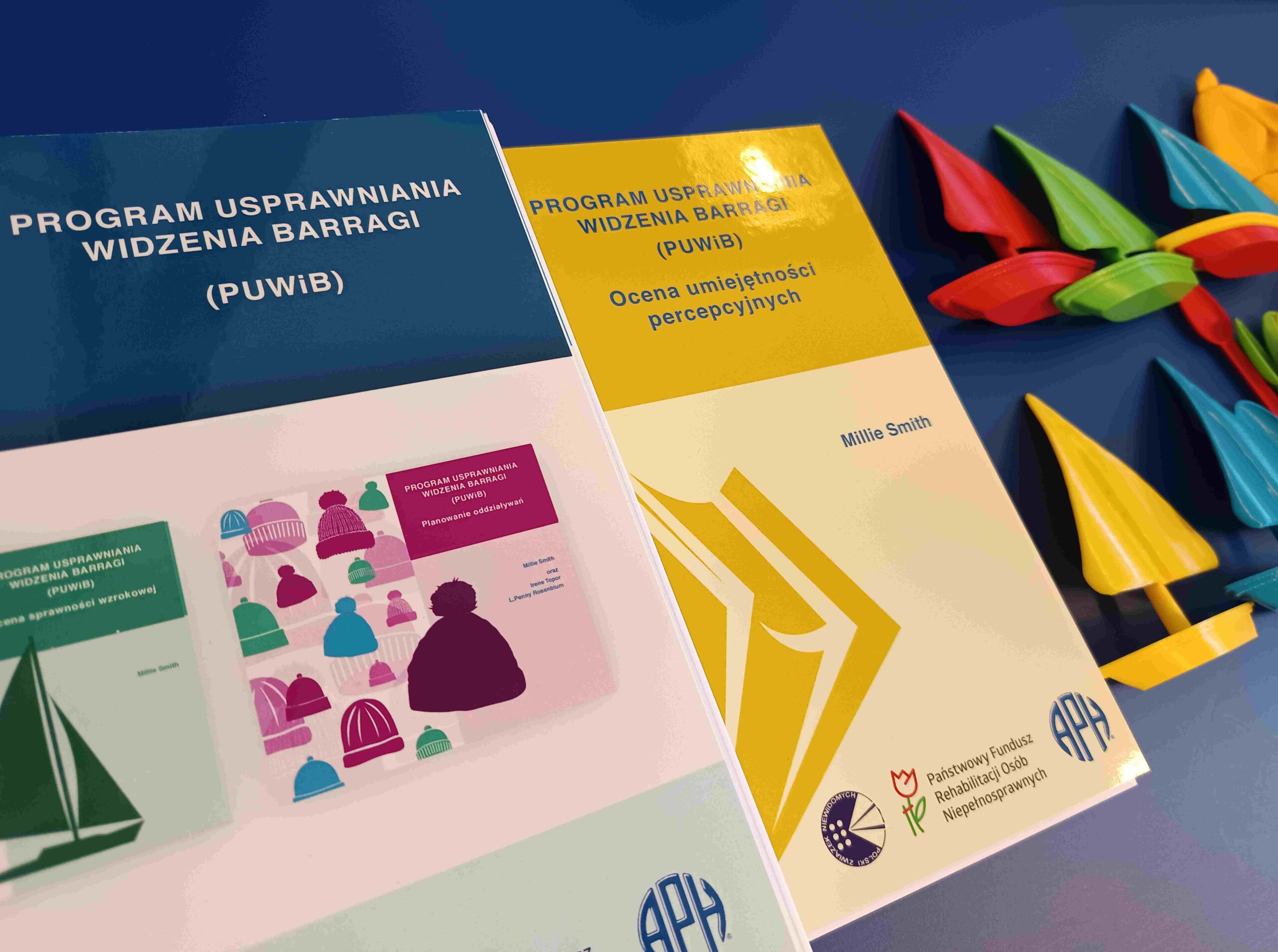 Publikacja "Program usprawniania widzenia Barragi".