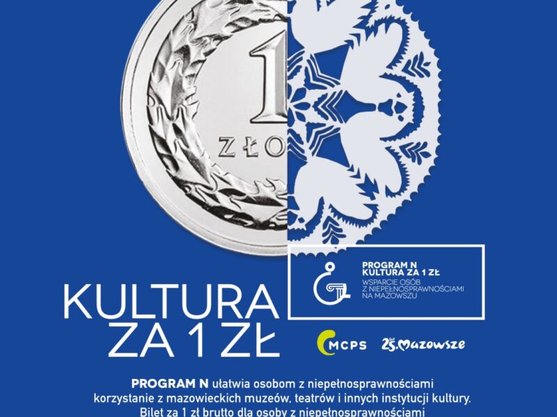 Grafika promująca Program N.