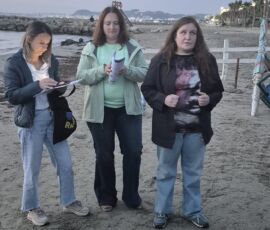 Rozdanie certyfikatów youthpass